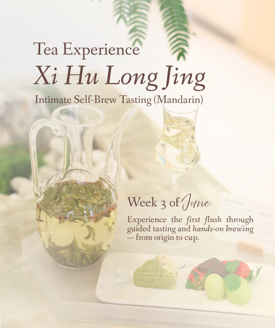 Xi Hu Long Jing Tea Experience (Mandarin)