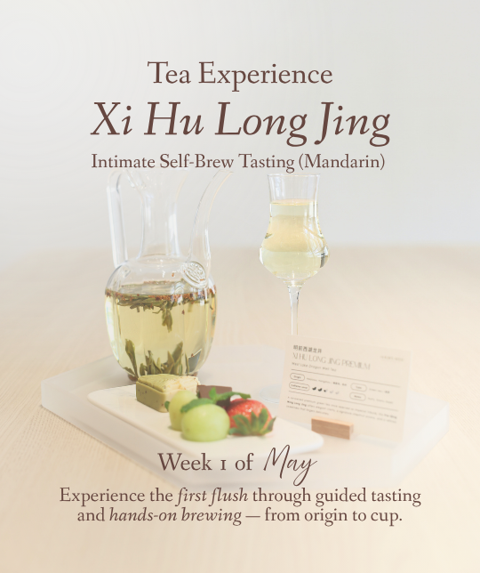 Xi Hu Long Jing Tea Experience (Mandarin)