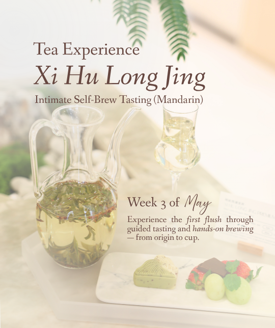 Xi Hu Long Jing Tea Experience (Mandarin)