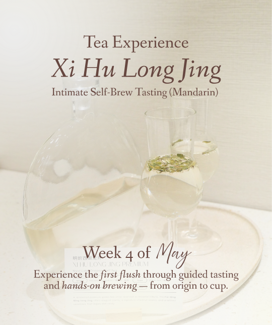 Xi Hu Long Jing Tea Experience (Mandarin)